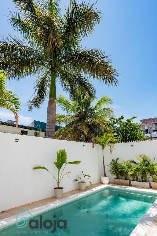 Vica Guest House Con Piscina En La Entrada De La Zona Hotelera 칸쿤 외부 사진