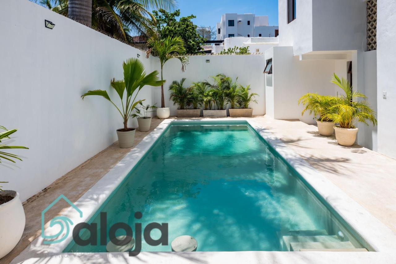 Vica Guest House Con Piscina En La Entrada De La Zona Hotelera 칸쿤 외부 사진